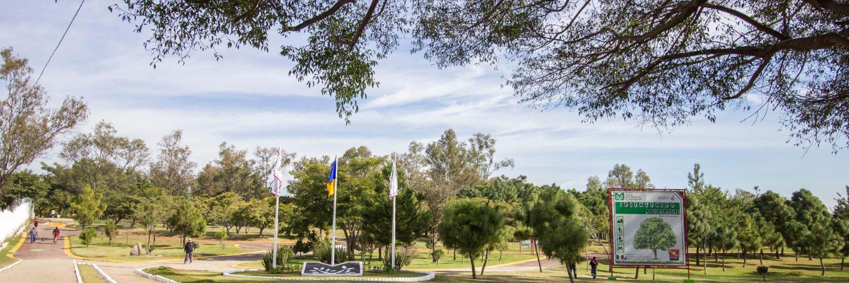 Revolution Park